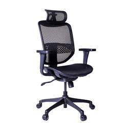 เก้าอี้เพื่อสุขภาพ เออร์โกเทรนรุ่น ERGO-JOY-PRO - สีดำ