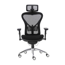 เก้าอี้เพื่อสุขภาพ เออร์โกเทรน รุ่น CHARM-01BMF - สีดำ