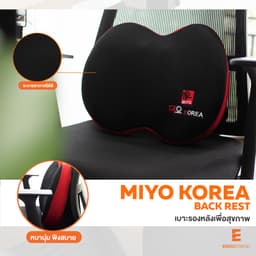 เบาะรองหลังจัดท่านั่งเพื่อสุขภาพ เออร์โกเทรน รุ่น MIYO - สีดำ