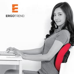 เบาะรองหลังจัดท่านั่งเพื่อสุขภาพ เออร์โกเทรน รุ่น MIYO - สีดำ