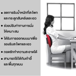 เบาะรองหลังจัดท่านั่งเพื่อสุขภาพ เออร์โกเทรน รุ่น MIYO - สีดำ