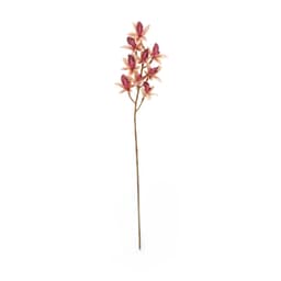 ก้านดอกกล้วยไม้ รุ่นแวนด้า - สีชมพู