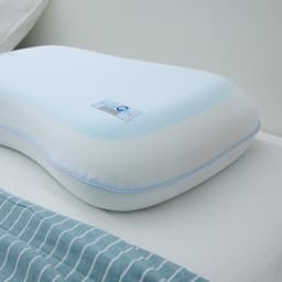 หมอนหนุนทรงโชวเดอร์ รุ่นโพลาร์ ขนาด 64 x 38 x 14 ซม. - สีฟ้าอ่อน