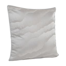 หมอนอิง รุ่นลักซ์ชู-เมาท์ ขนาด 50 x 50 ซม. - สีเทา