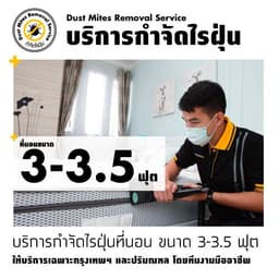 กำจัดไรฝุ่นที่นอน 3.5 ฟุต