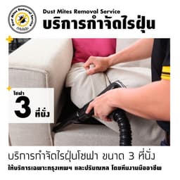 กำจัดไรฝุ่นโซฟา 3 ที่นั่ง