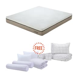 ซื้อที่นอน รุ่นรีบอร์น ขนาด 6 ฟุต แถมฟรี! ชุดเครื่องนอน และชุดผ้าปู