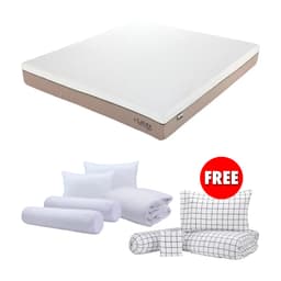 ซื้อที่นอน รุ่นรีไววอล ขนาด 6 ฟุต แถมฟรี! ชุดเครื่องนอน และชุดผ้าปู