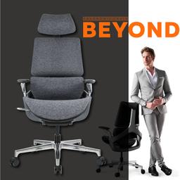 เก้าอี้เพื่อสุขภาพ เออร์โกเทรน รุ่น Beyond - สีเทา