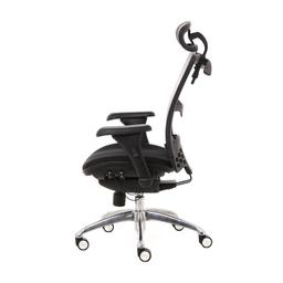 เก้าอี้เพื่อสุขภาพ เออร์โกเทรน รุ่น Blackbone-01GMF - สีดำ