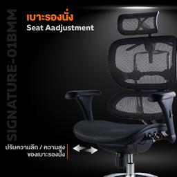 เก้าอี้เพื่อสุขภาพ เออร์โกเทรน รุ่น Signature-01BMM - สีดำ