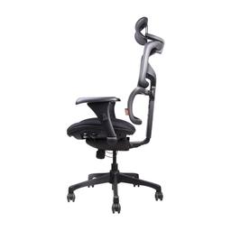 เก้าอี้เพื่อสุขภาพ เออร์โกเทรน รุ่น DOOM-01BMF -  สีดำ