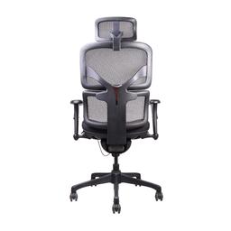 เก้าอี้เพื่อสุขภาพ เออร์โกเทรน รุ่น DOOM-01BMF -  สีดำ