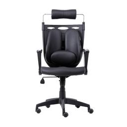 เก้าอี้เพื่อสุขภาพ เออร์โกเทรน รุ่น Dual NL-05BPP - สีดำ