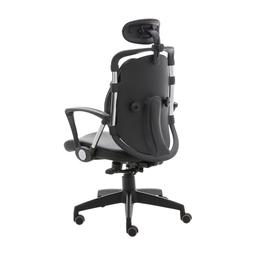 เก้าอี้เพื่อสุขภาพ เออร์โกเทรน รุ่น Dual-01BPP - สีดำ