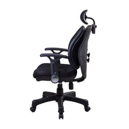 เก้าอี้เพื่อสุขภาพ เออร์โกเทรน รุ่น Dual-06BFF - สีดำ