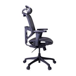 เก้าอี้เพื่อสุขภาพ เออร์โกเทรนรุ่น ERGO-JOY-PRO - สีดำ