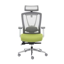 เก้าอี้เพื่อสุขภาพ เออร์โกเทรน รุ่น ERGO-X GREEN - สีเขียว