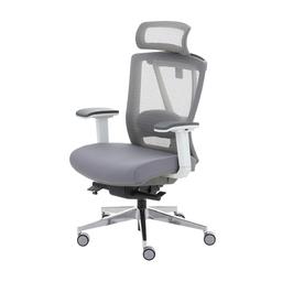 เก้าอี้เพื่อสุขภาพ เออร์โกเทรน รุ่น ERGO-X GREY - สีเทา