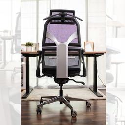 เก้าอี้เพื่อสุขภาพ เออร์โกเทรน รุ่น Malmo - สีดำ