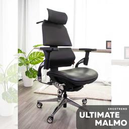 เก้าอี้เพื่อสุขภาพ เออร์โกเทรน รุ่น Ultimate Malmo - สีดำ