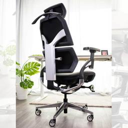 เก้าอี้เพื่อสุขภาพ เออร์โกเทรน รุ่น Ultimate Malmo - สีดำ