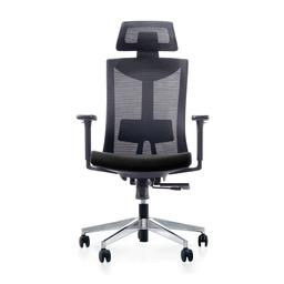 เก้าอี้เพื่อสุขภาพ เออร์โกเทรน รุ่น Dual-X - สีดำ
