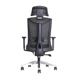 เก้าอี้เพื่อสุขภาพ เออร์โกเทรน รุ่น Dual-X - สีดำ
