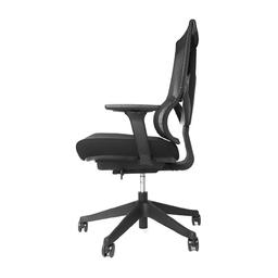 เก้าอี้เพื่อสุขภาพ เออร์โกเทรน รุ่น Lund Ergonomic - สีดำ