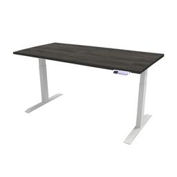 โต๊ะทำงานปรับระดับ เออร์โกเทรน รุ่นเจน 4 ขนาด 120 ซม. - สีทไวไลท์เอม/ขาว