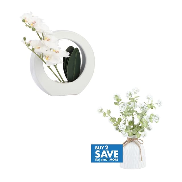 ซื้อต้นไม้ในกระถาง 2 ชิ้น ราคาพิเศษ! (เฉพาะรุ่นที่กำหนด)