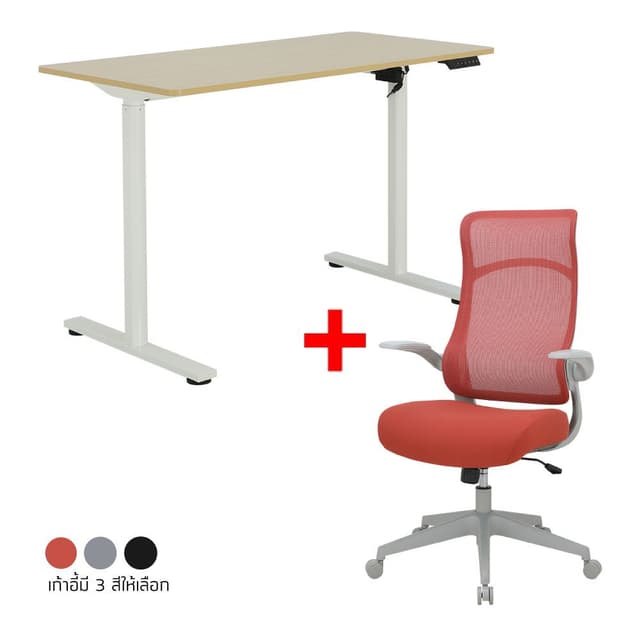 ซื้อโต๊ะปรับไฟฟ้า รุ่นสแตนเลย์ เอ็กซ์เอส ขนาด 120 ซม. พร้อมเก้าอี้ทำงานเพื่อสุขภาพพนักพิงสูง รุ่นเรดี้ ราคาพิเศษ!