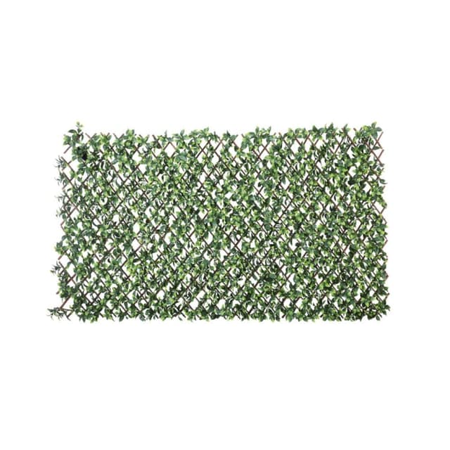 รั้วต้นไม้ รุ่น ลานี่ 100 x 200 ซม. - สีเขียว