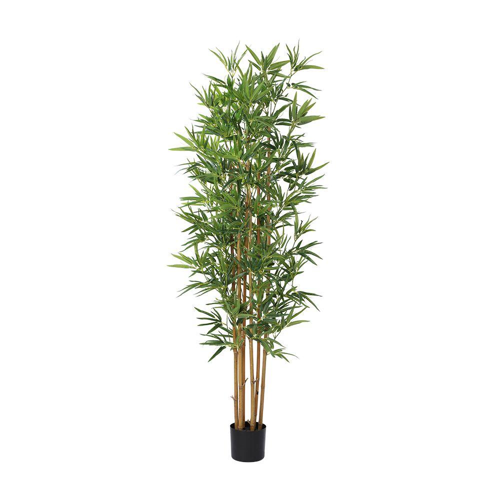 ต้นไผ่ในกระถาง รุ่นแบมโบะ ความสูง 180 ซม. - สีเขียว/น้ำตาล