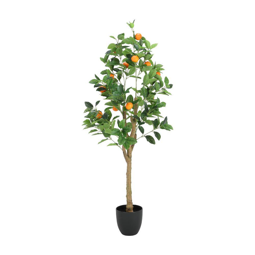 ต้นส้มในกระถาง รุ่นออเรนจิ สูง 130 - สีเขียว/ส้ม