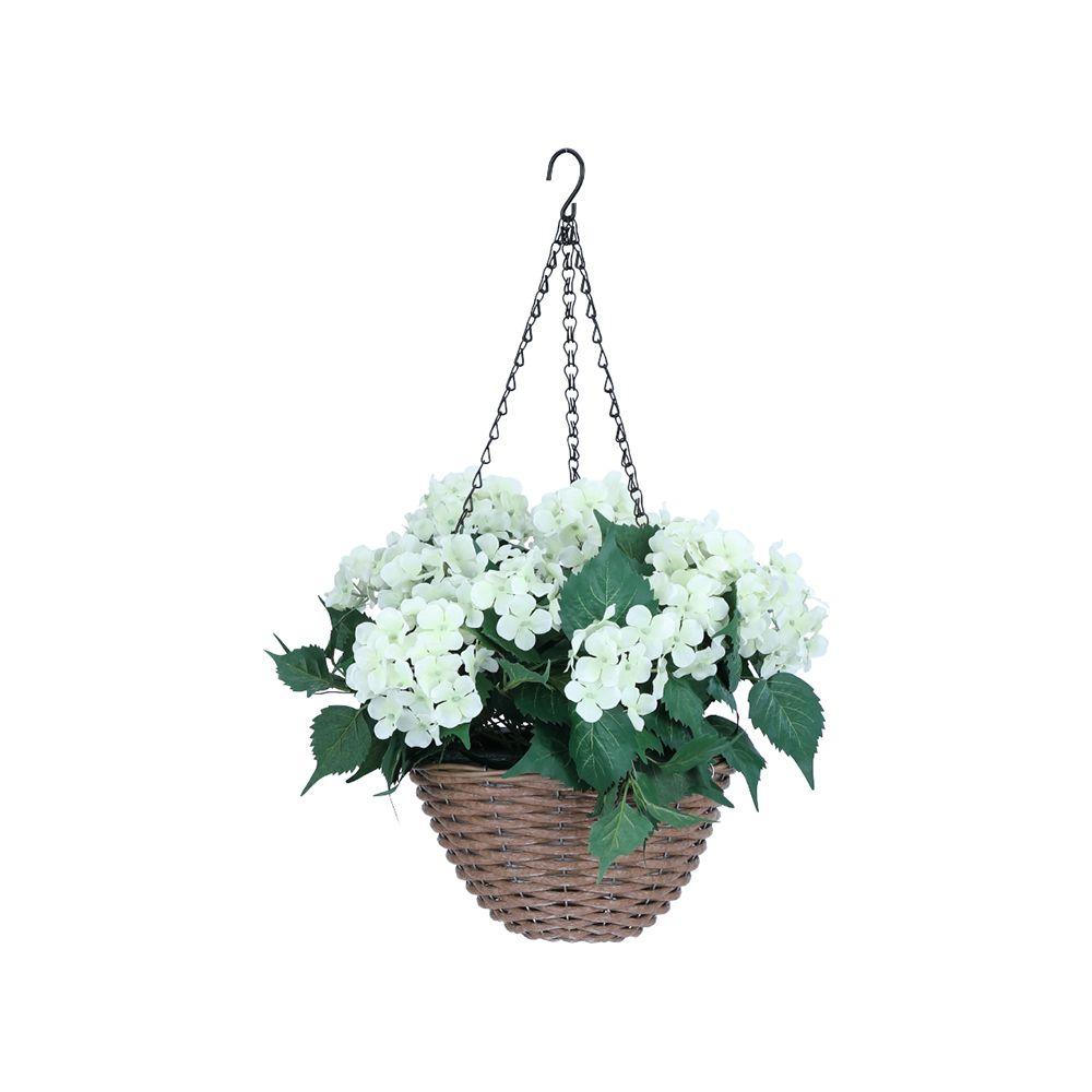 ดอกไฮเดรนเยียในกระถางแขวน รุ่นฮาเซีย - สีขาว/เขียว