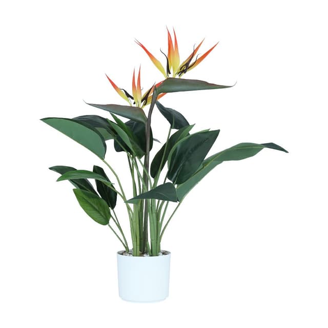 ปักษาสวรรค์ในกระถาง รุ่นลิทเซีย ขนาด 45 x 45 x 78 ซม. - สีส้ม/ขาว