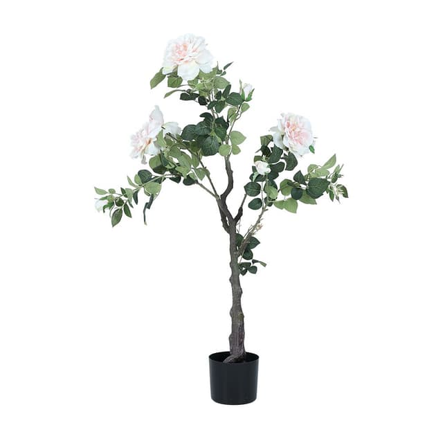 ต้นกุหลาบในกระถาง รุ่นออร์เน็ตต้า ขนาด 50 x 50 x 115 ซม. - สีชมพู/เขียว