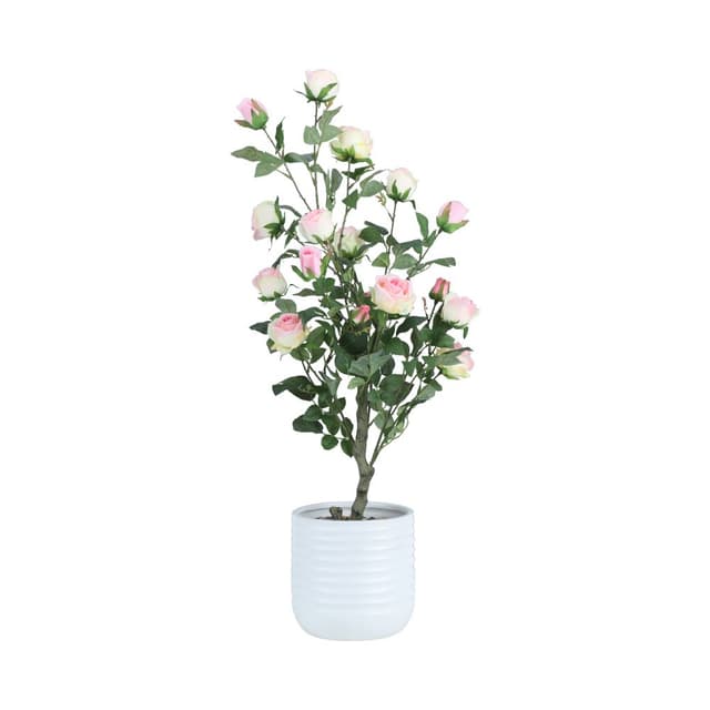 ต้นกุหลาบในกระถาง รุ่นโรซี่ สูง 89 ซม. - สีชมพู/ขาว