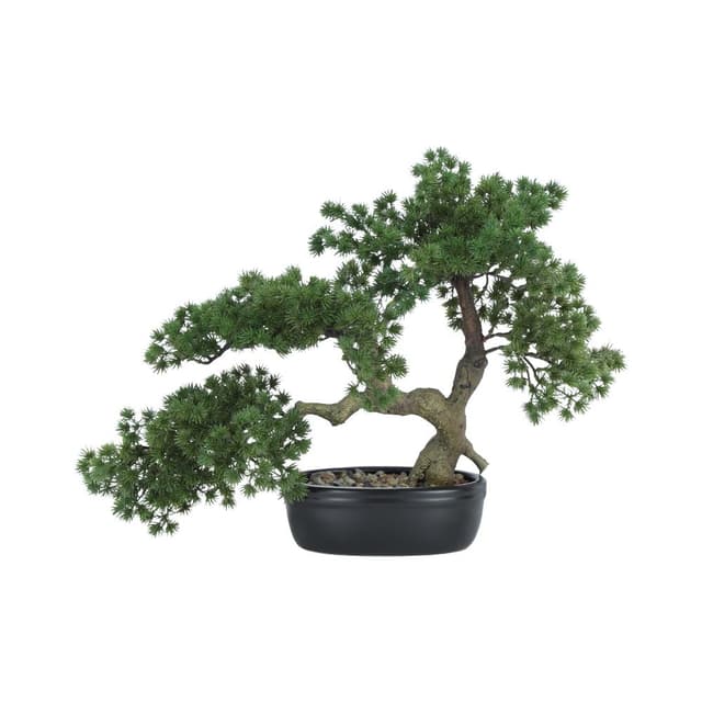 บอนไซสนในกระถาง รุ่นบอนซี่ สูง 36 ซม. - สีเขียว/ดำ