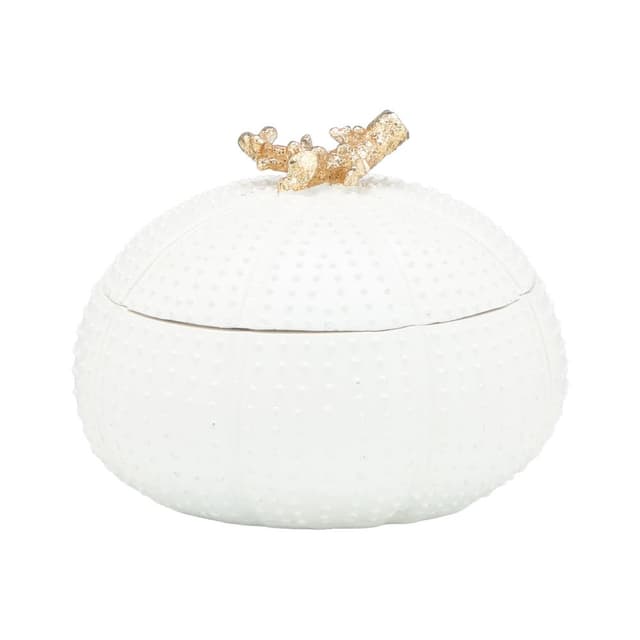 กล่องจัดเก็บทรงเม่นทะเล รุ่นเออร์โร่ ขนาด 5 นิ้ว - สีขาวงาช้าง/ทอง