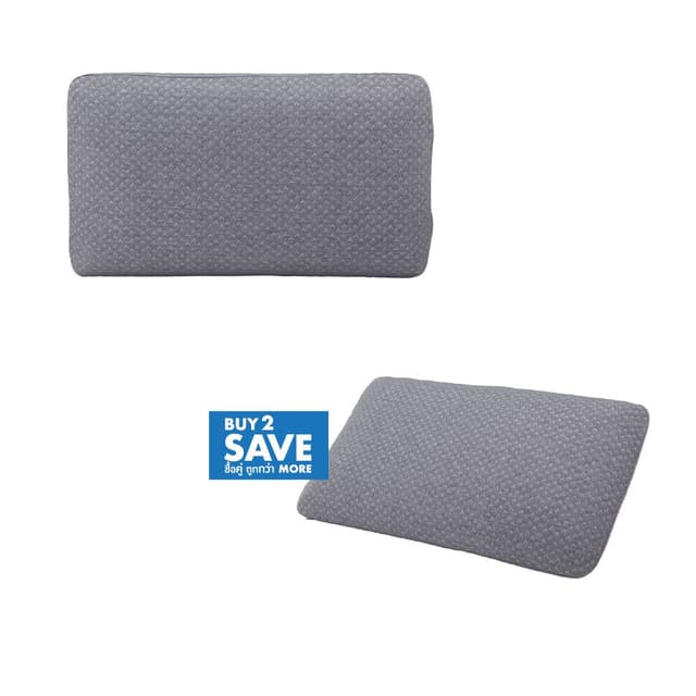 ซื้อหมอนถ่านไม้ไผ่ รุ่นพรีวิลเลจ 2 ชิ้น ราคาพิเศษ!