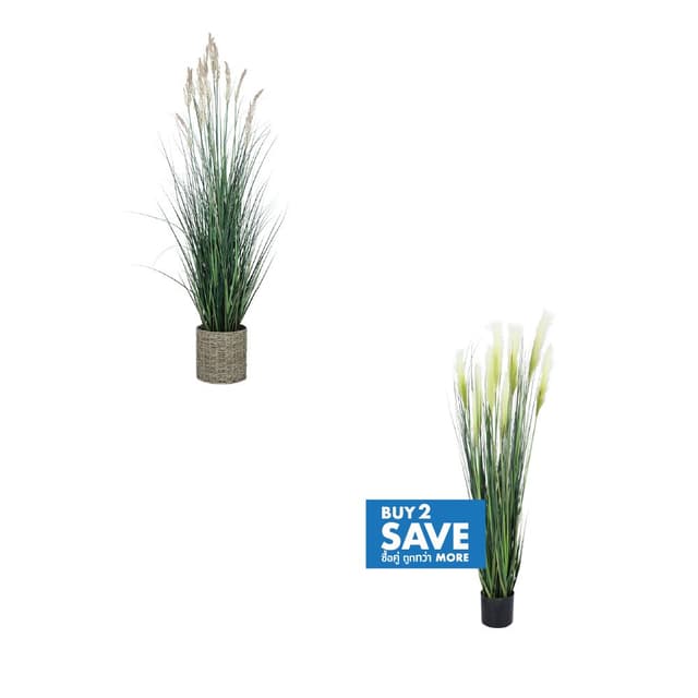 ซื้อต้นหญ้าในกระถาง รุ่นอองเดรีย หรือวอลเลีย 2 ชิ้น ราคาพิเศษ!