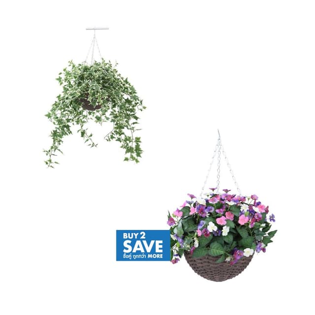 ซื้อดอกไม้ในกระถางแขวน หรือต้นไม้ในกระถางแขวน 2 ชิ้น ราคาพิเศษ! (เฉพาะรุ่นที่กำหนด)