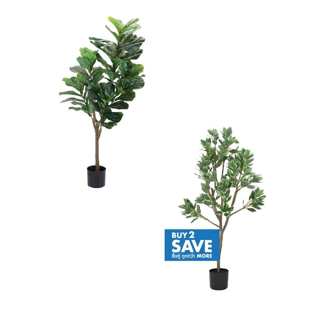 ซื้อต้นไม้ในกระถาง 2 ชิ้น ราคาพิเศษ! (เฉพาะรุ่นที่กำหนด)
