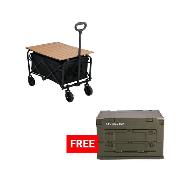 ซื้อรถเข็นอเนกประสงค์พับได้ รุ่นควิน แถมฟรี! กล่องพับได้อเนกประสงค์ รุ่นเควนติน ไซส์ M