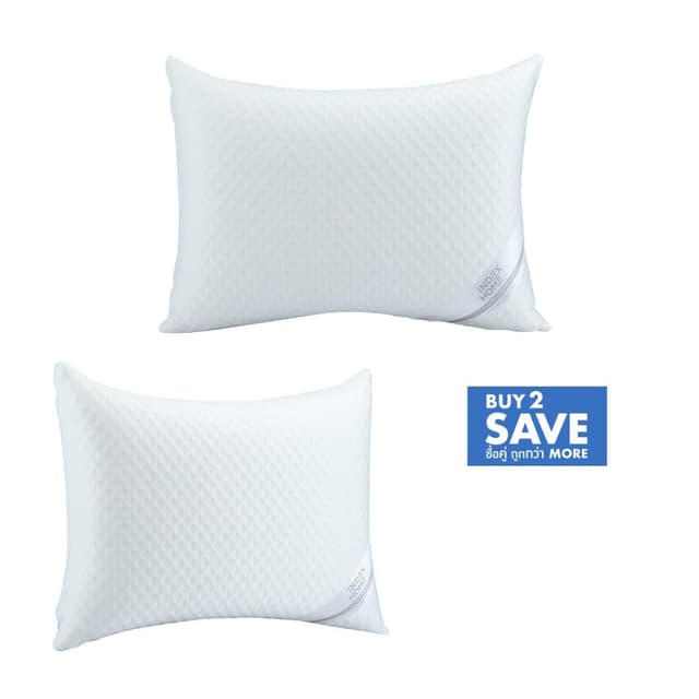 ซื้อหมอนหนุน 2 ชิ้น ราคาพิเศษ! (คละแบบได้)