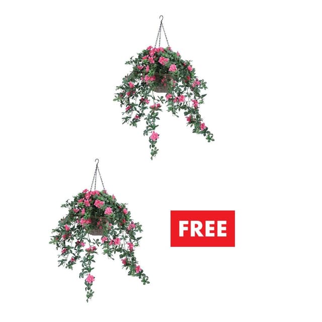 ซื้อดอกไม้ในกระถาง 2 ชิ้น ราคาพิเศษ! (คละแบบได้)