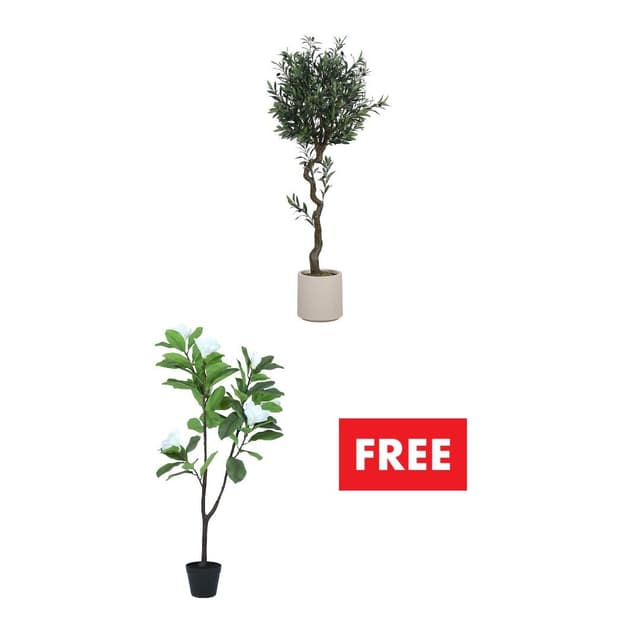 ซื้อต้นไม้ในกระถาง แถมฟรี! ต้นไม้ในกระถาง (คละแบบได้)