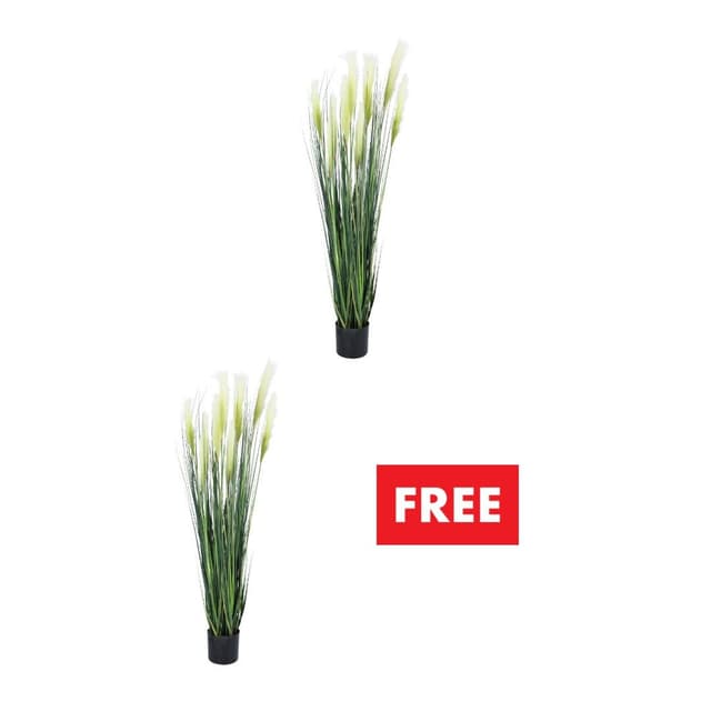 ซื้อต้นหญ้าในกระถาง แถมฟรี! ต้นหญ้าในกระถาง (คละแบบได้)